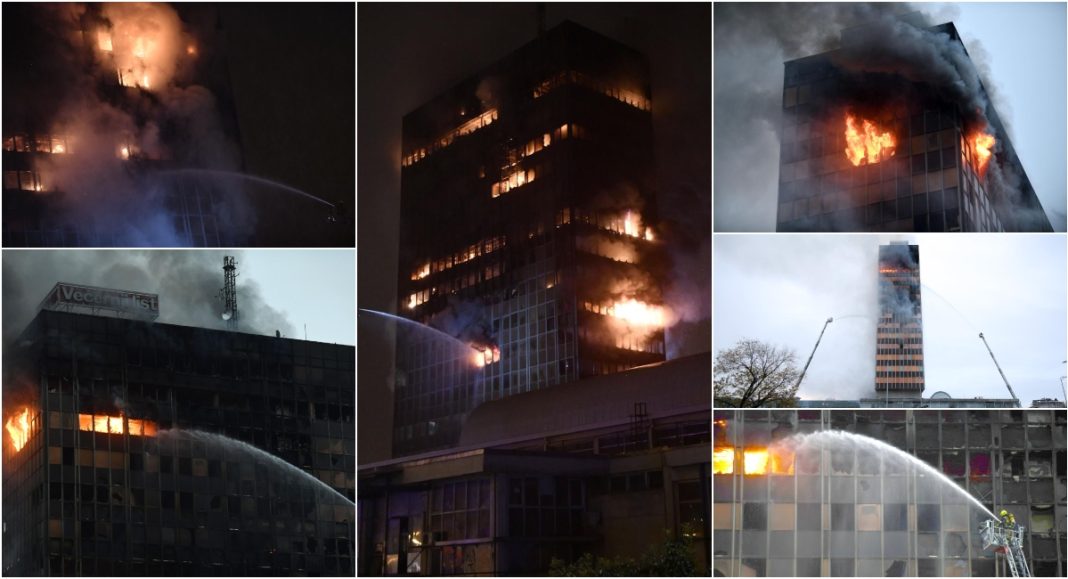 BeFunky collage 2025 11 18T101231.092