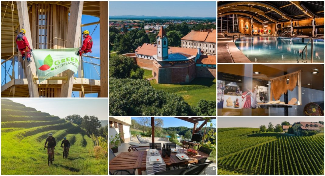 BeFunky collage 2025 11 19T171127.511