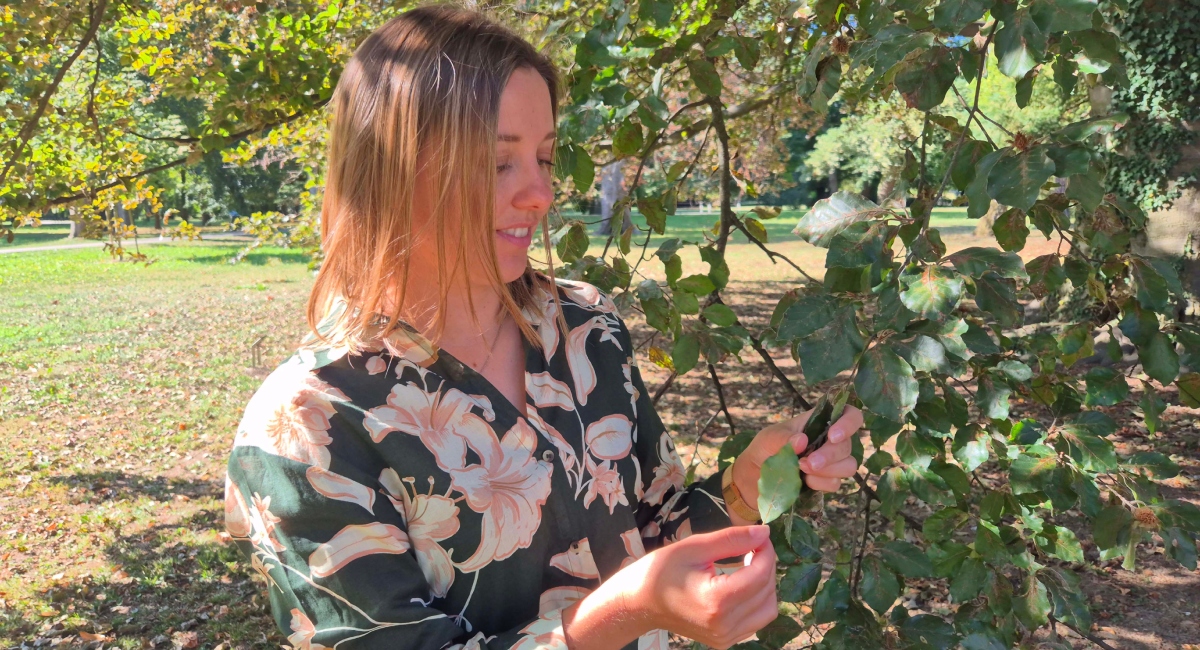 BeFunky collage 2025 11 21T141351.471