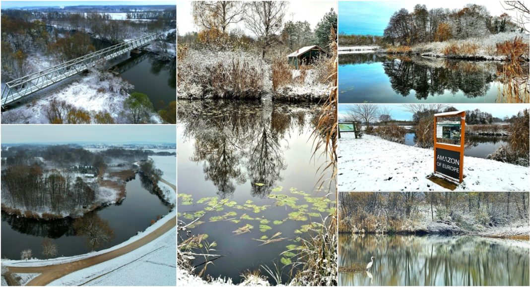 BeFunky collage 2025 11 24T084439.396