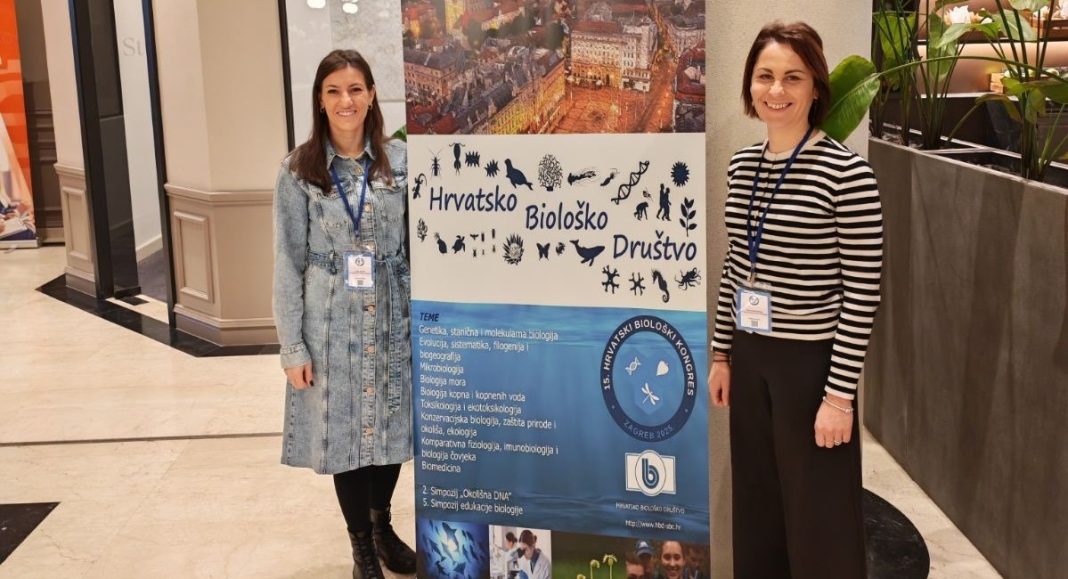 BeFunky collage 2025 11 24T130836.206