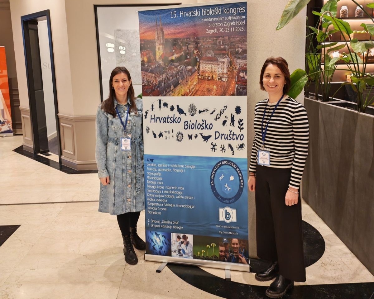 BeFunky collage 2025 11 24T130857.874