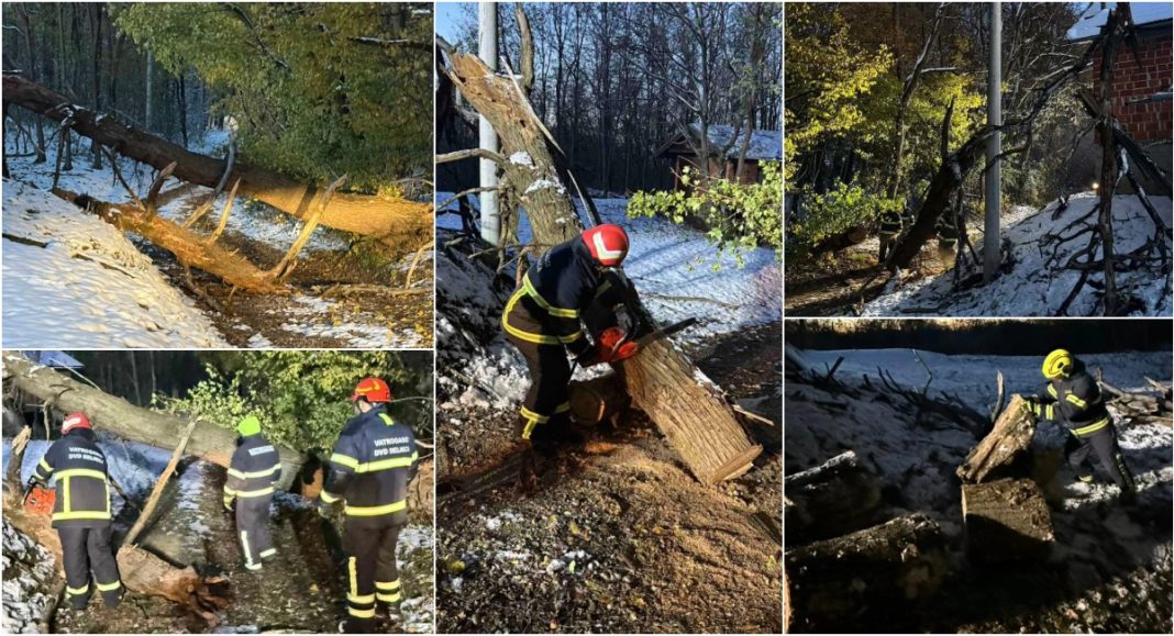 FOTO Vatrogasci uklonili stablo koje je palo preko ceste i zaustavilo promet BeFunky collage 2025 11 24T132305.791