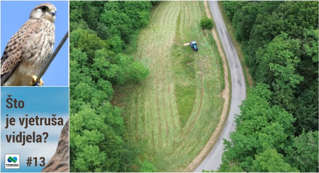 „Što je vjetruša vidjela?“ donosi fascinantne kadrove međimurskih livada BeFunky collage 2025 11 26T171104.165