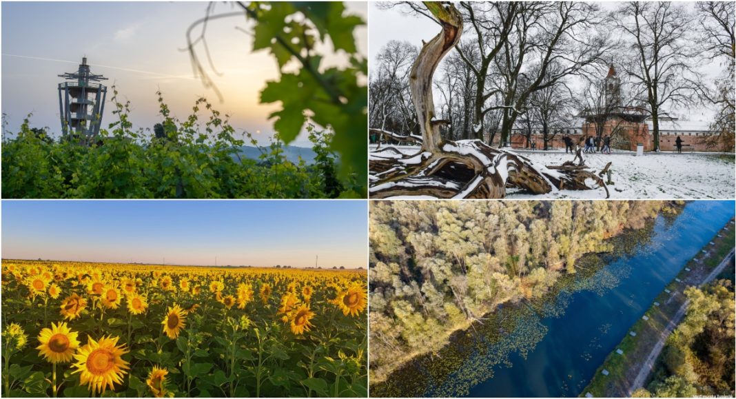 BeFunky collage 2025 11 27T081936.279