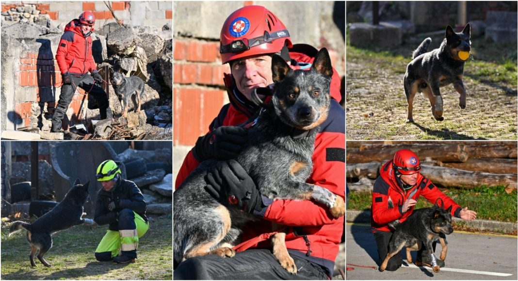 BeFunky collage 2025 11 27T084800.909