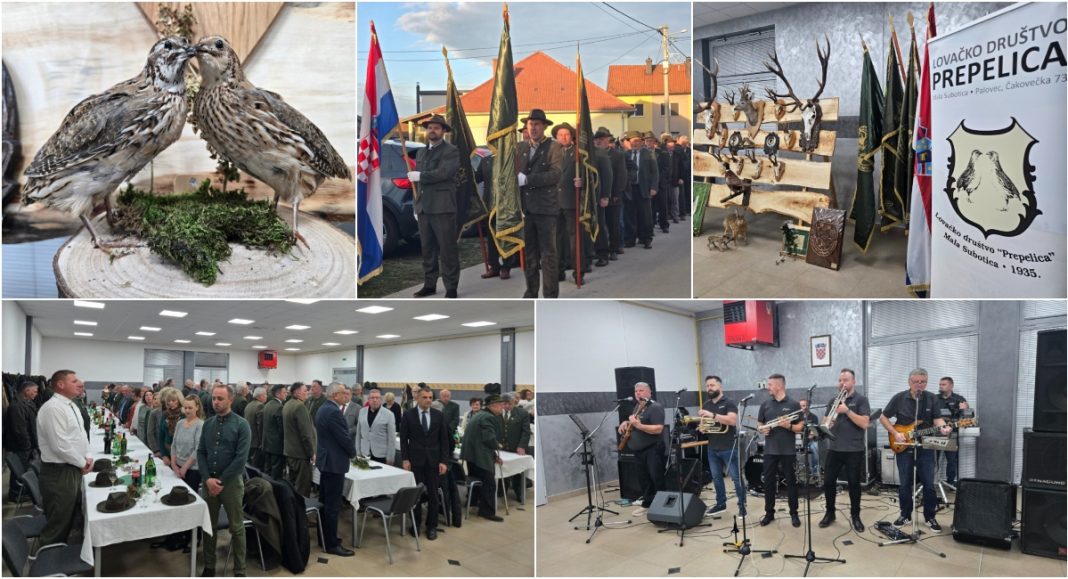 BeFunky collage 2025 11 30T125654.482