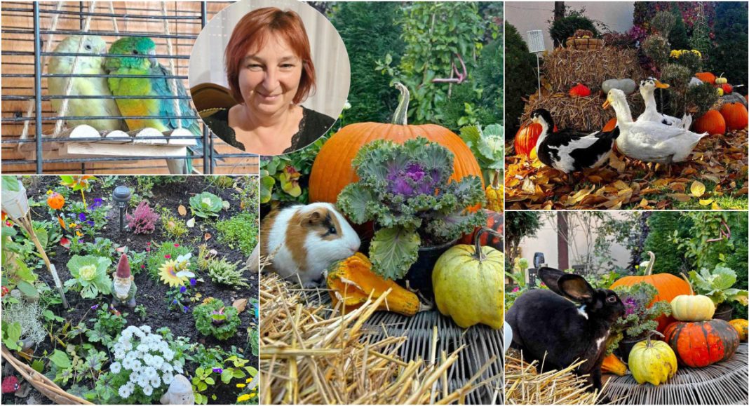 FOTO Jesenski raj uz pravo malo životinjsko carstvo Jasmnike Hranjec iz Goričana FOTO Jesenski raj uz pravo malo životinjsko carstvo Jasmnike Hranjec iz Goričana