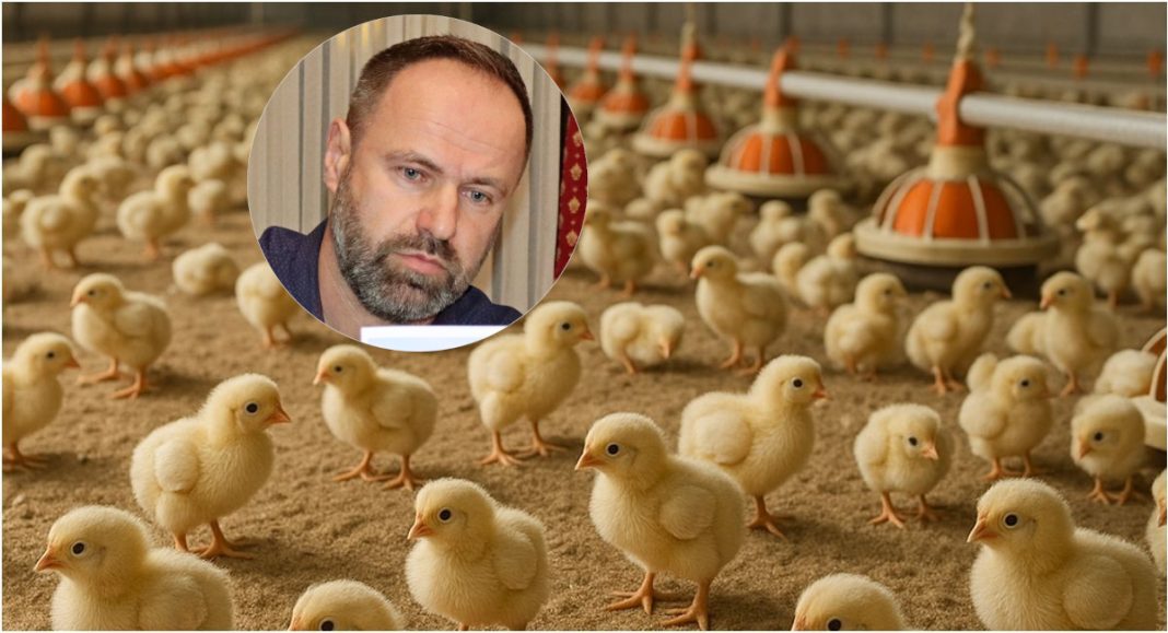 Noćna mora mještana: Počela izgradnja peradarnika u Općini Legrad, uz Donju Dubravu! Noćna mora mještana: Počela izgradnja peradarnika u Općini Legrad, uz Donju Dubravu!