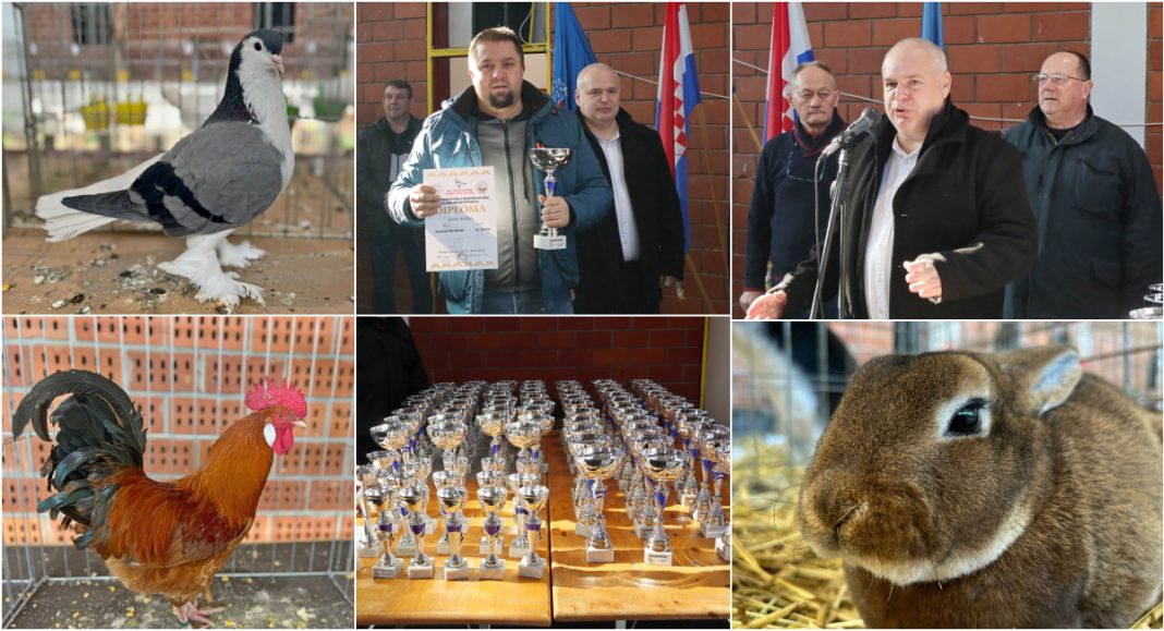 FOTO Podjelom nagrada završena je bogata izložba malih životinja u Donjoj Dubravi GLAVNA 2025 11 30T141243.198