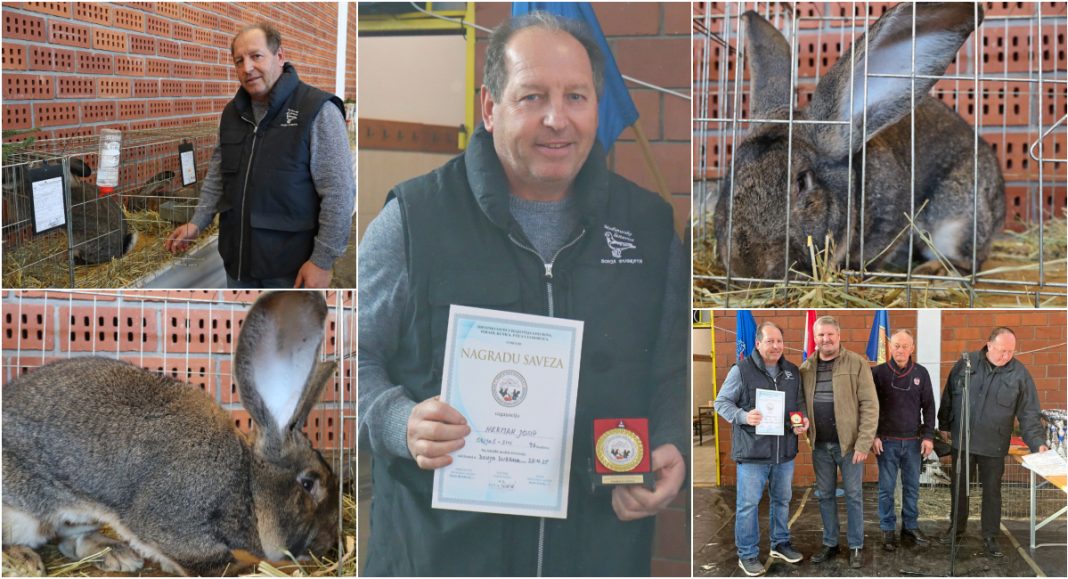 GLAVNA 2025 11 30T145649.197