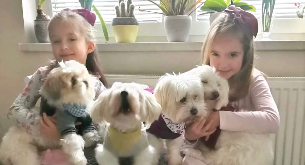 Srce im je veće od doma: Obitelj Škvorc udomila čak tri psa iz azila GLAVNA