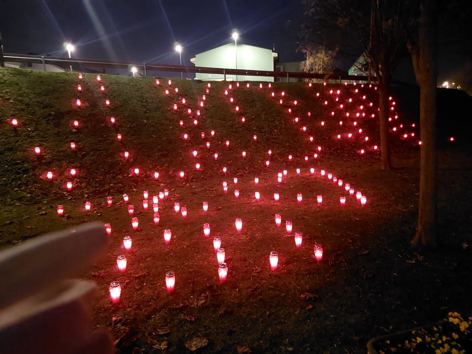 IMG 56cc7afabe21baba97423aa13931c7f6 V