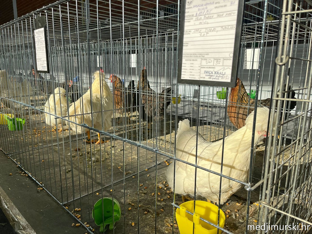 Izložba životinja Donja Dubrava (27)