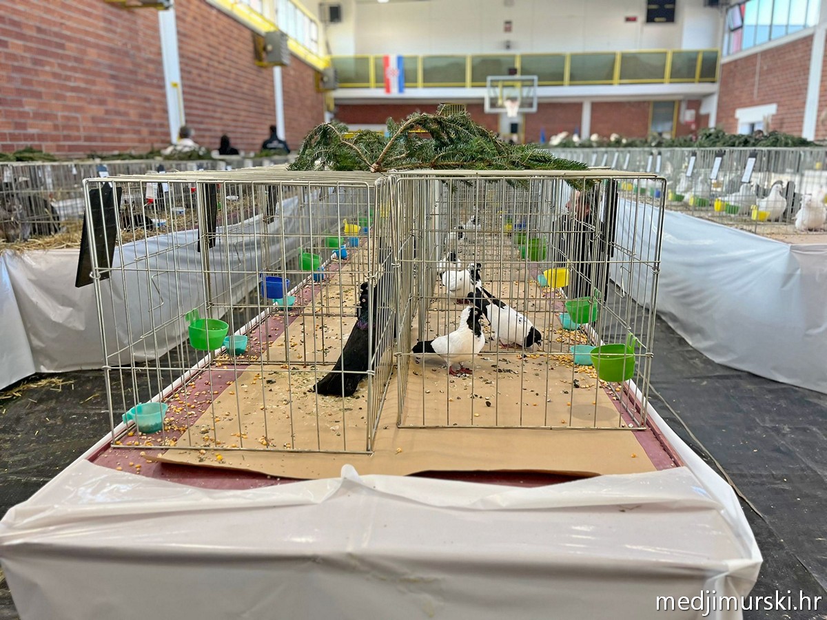 Izložba životinja Donja Dubrava (29)