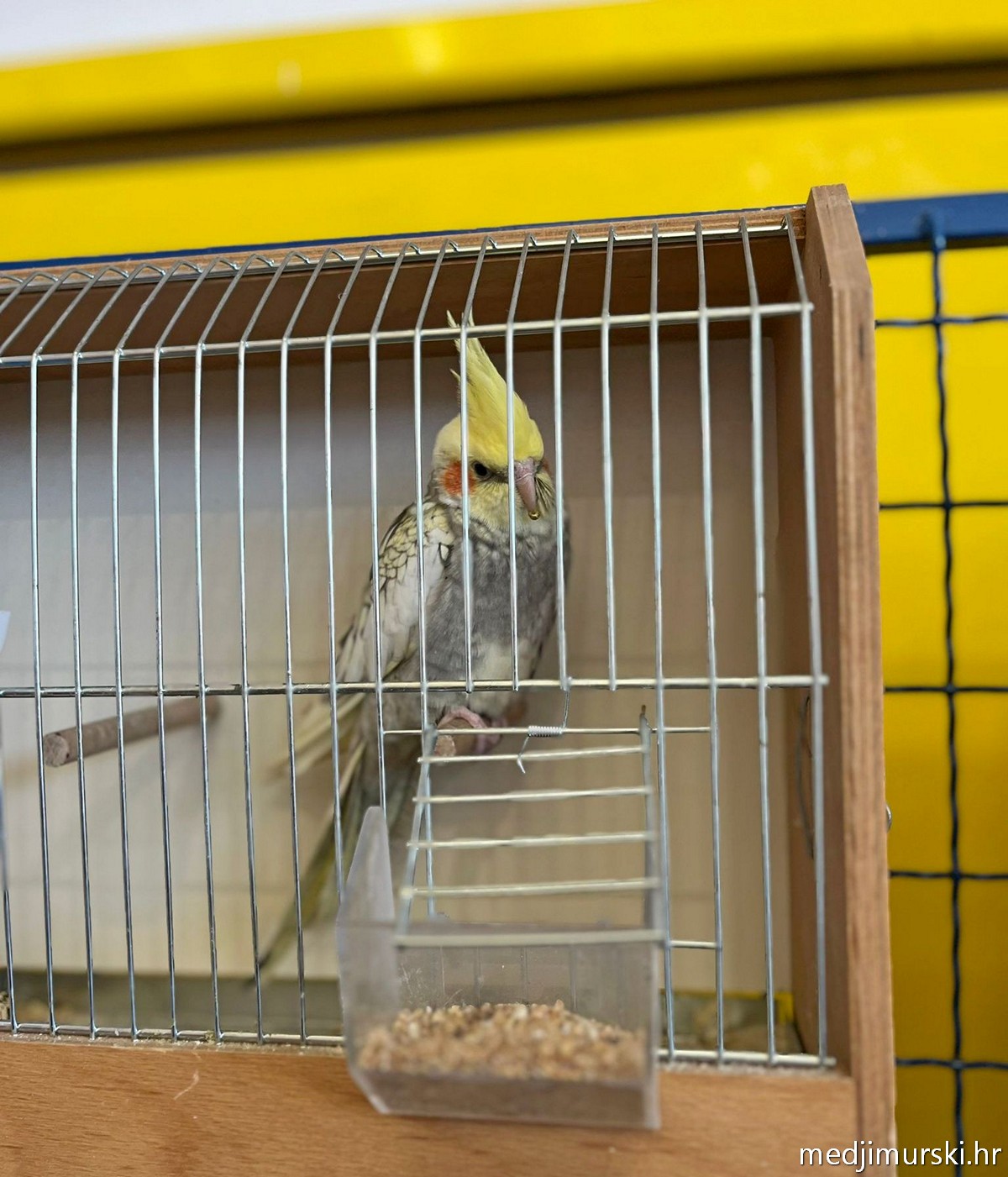 Izložba životinja Donja Dubrava (41)