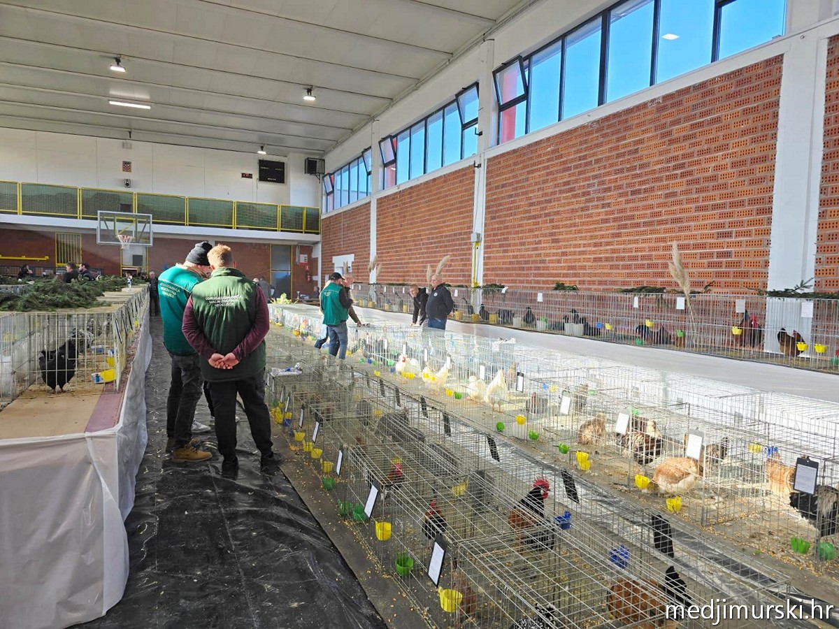 Josip Herman nagrada orijaš (10)