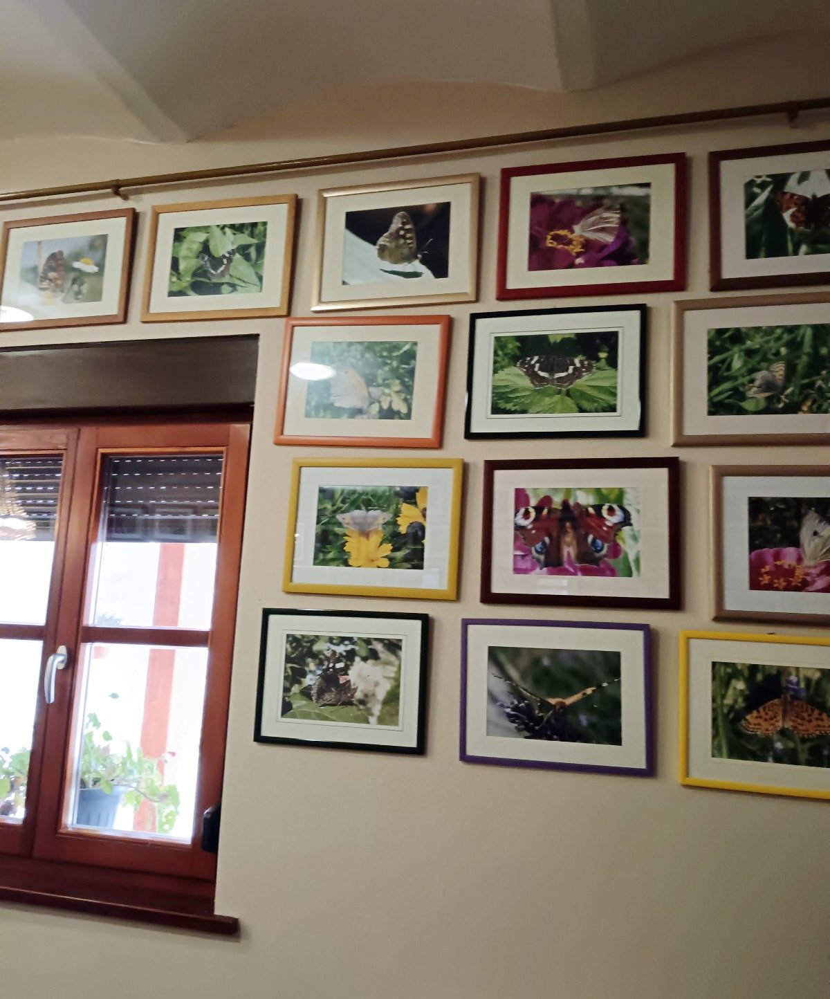 Kockavica Sv Marija studeni2025 (23)