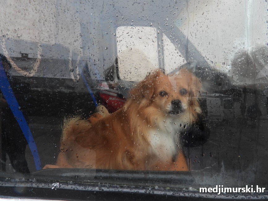 PRelog tržnica 22.11.2025 (10)