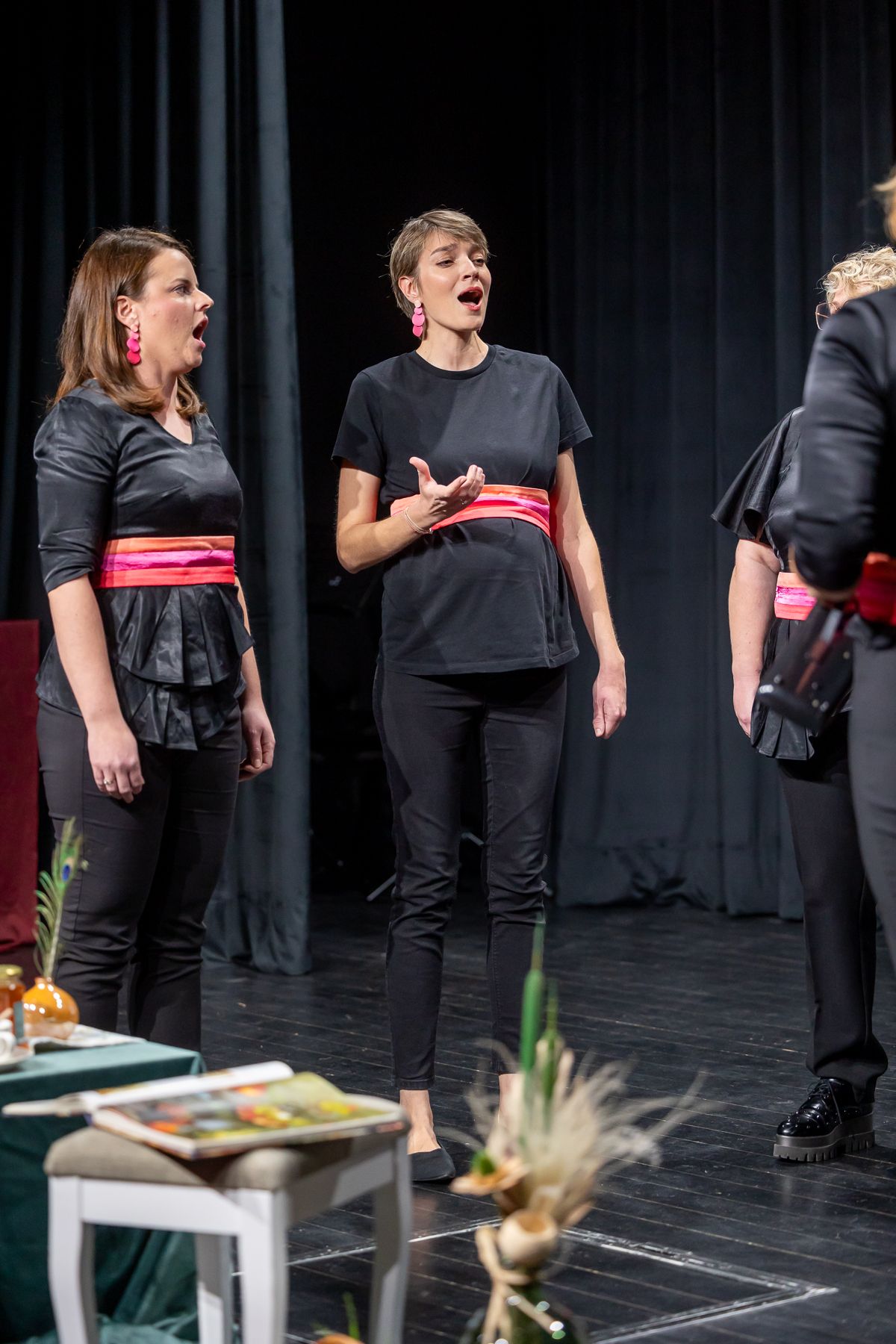 Raspjevana večer Štrigova