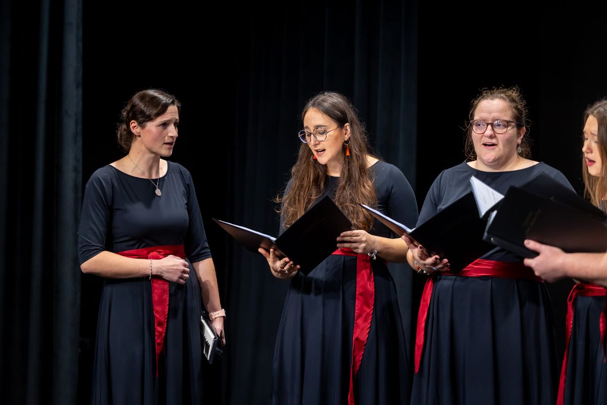 Raspjevana večer Štrigova