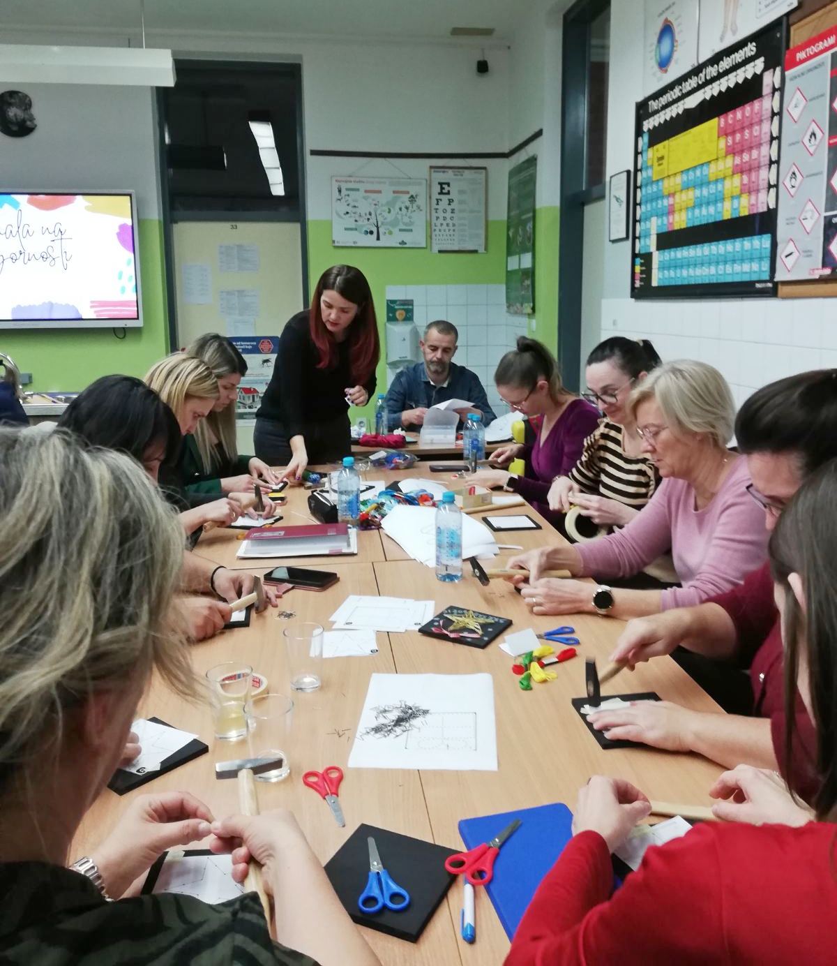 Stručni skup učitelja (4)