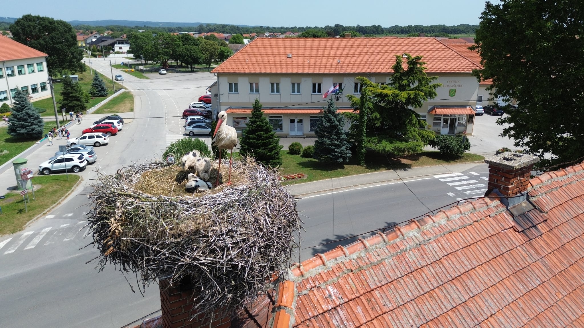 E1f35497 d3d5 4c3c b4e0 2da9095a4089