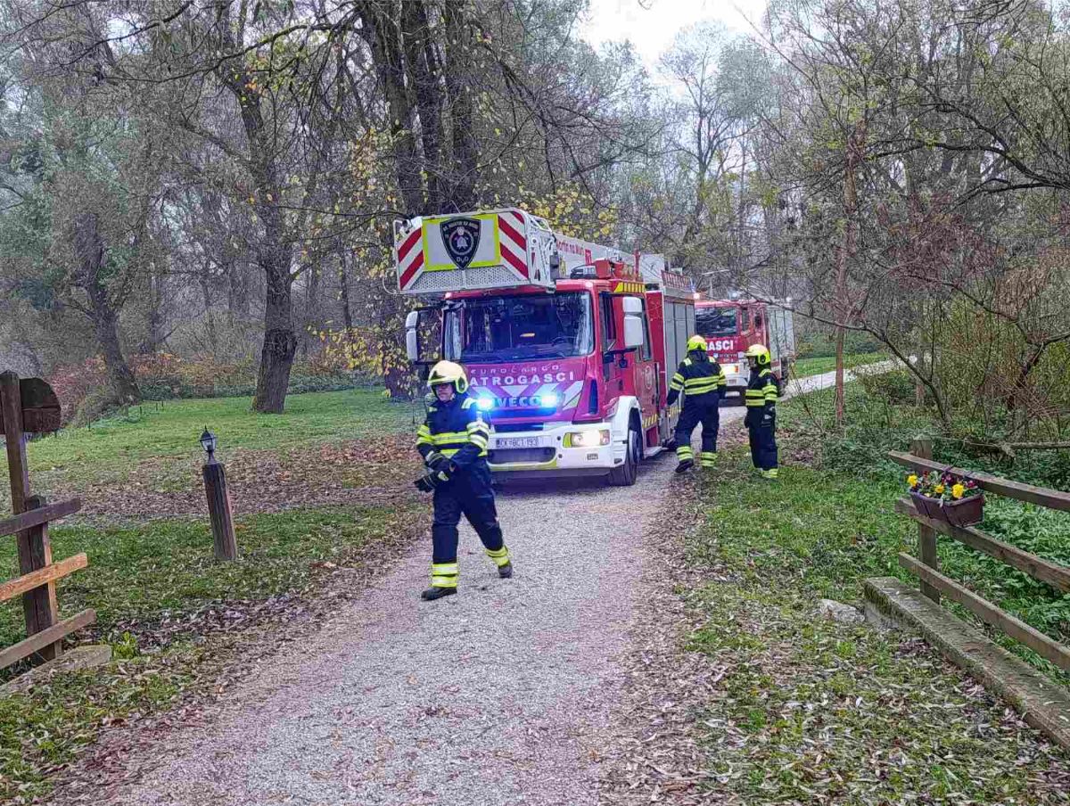 Viber slika 2025 11 13 16 36 44