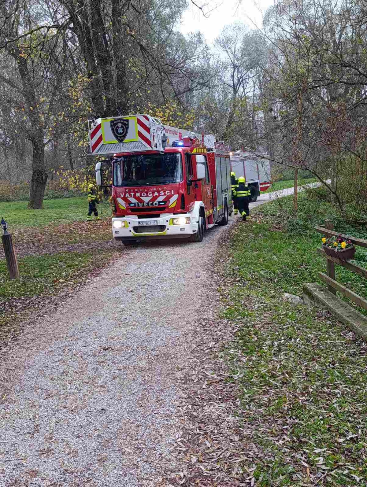 Viber slika 2025 11 13 16 37 00