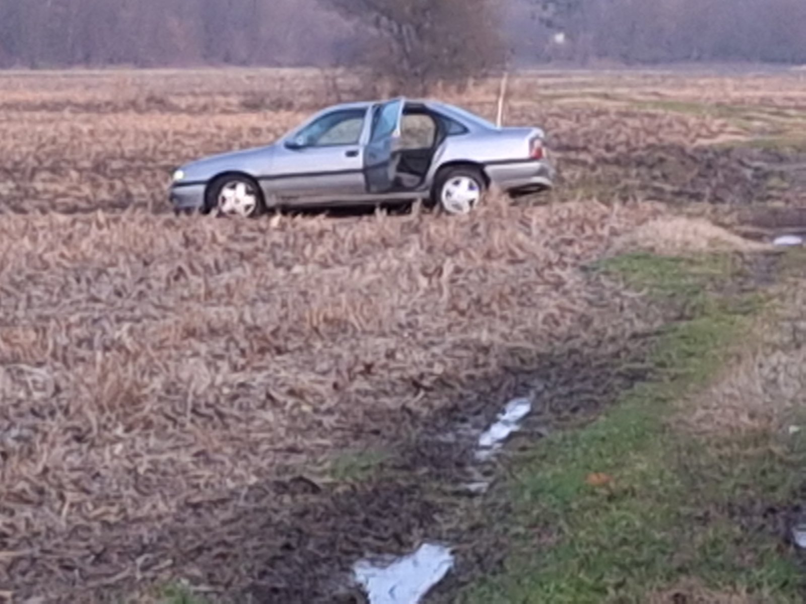 Viber slika 2025 11 30 16 25 16