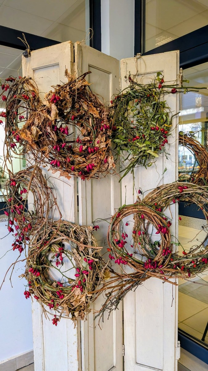 587488563 1432508302215593 7674284360855116383 n