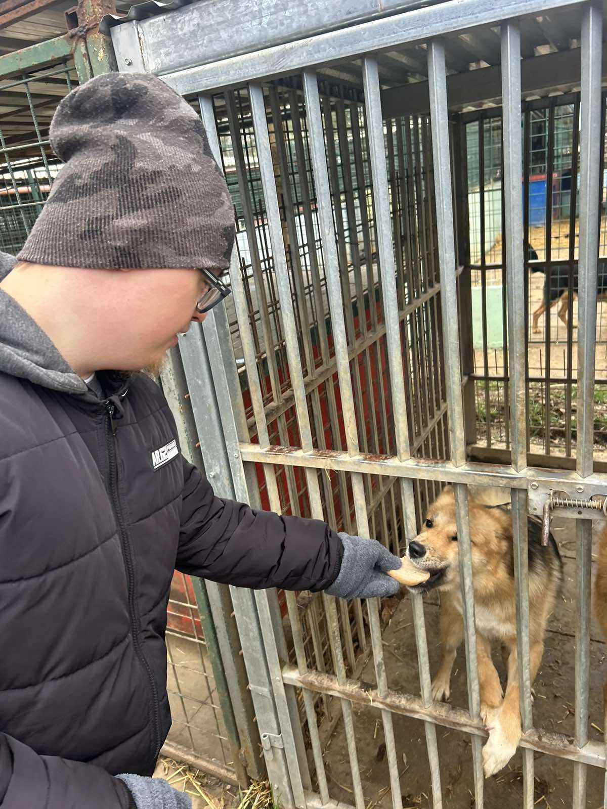 590145918 1229983469280994 6298858108739646839 n