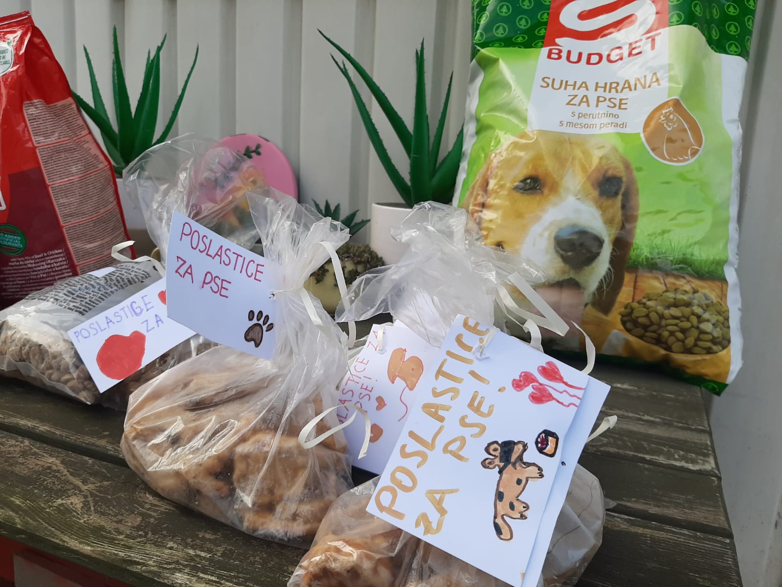 593359276 1229983269281014 1359947474875349642 n