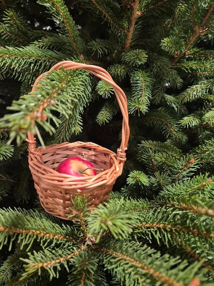 594207400 1159179176388106 813620881099990230 n