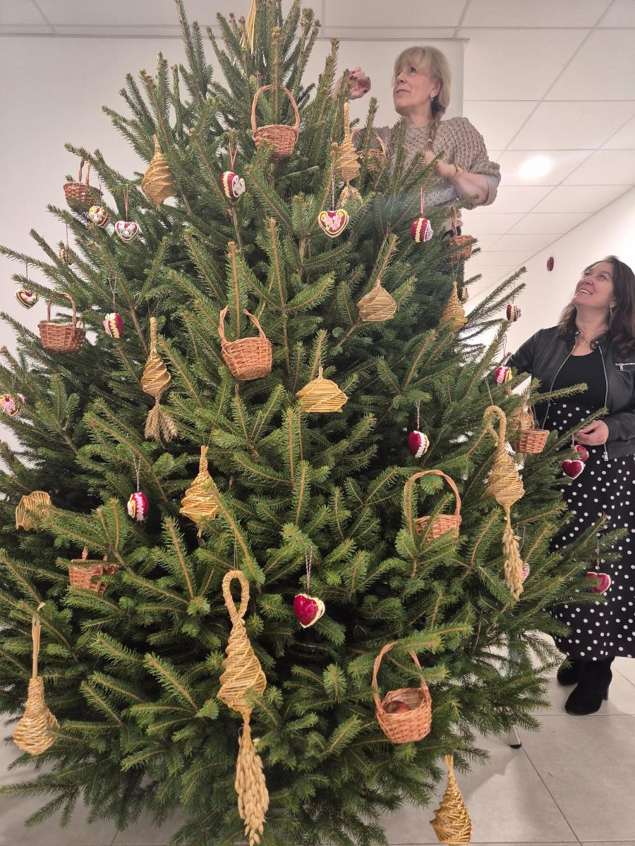 594804993 1159179173054773 2881779251443906621 n