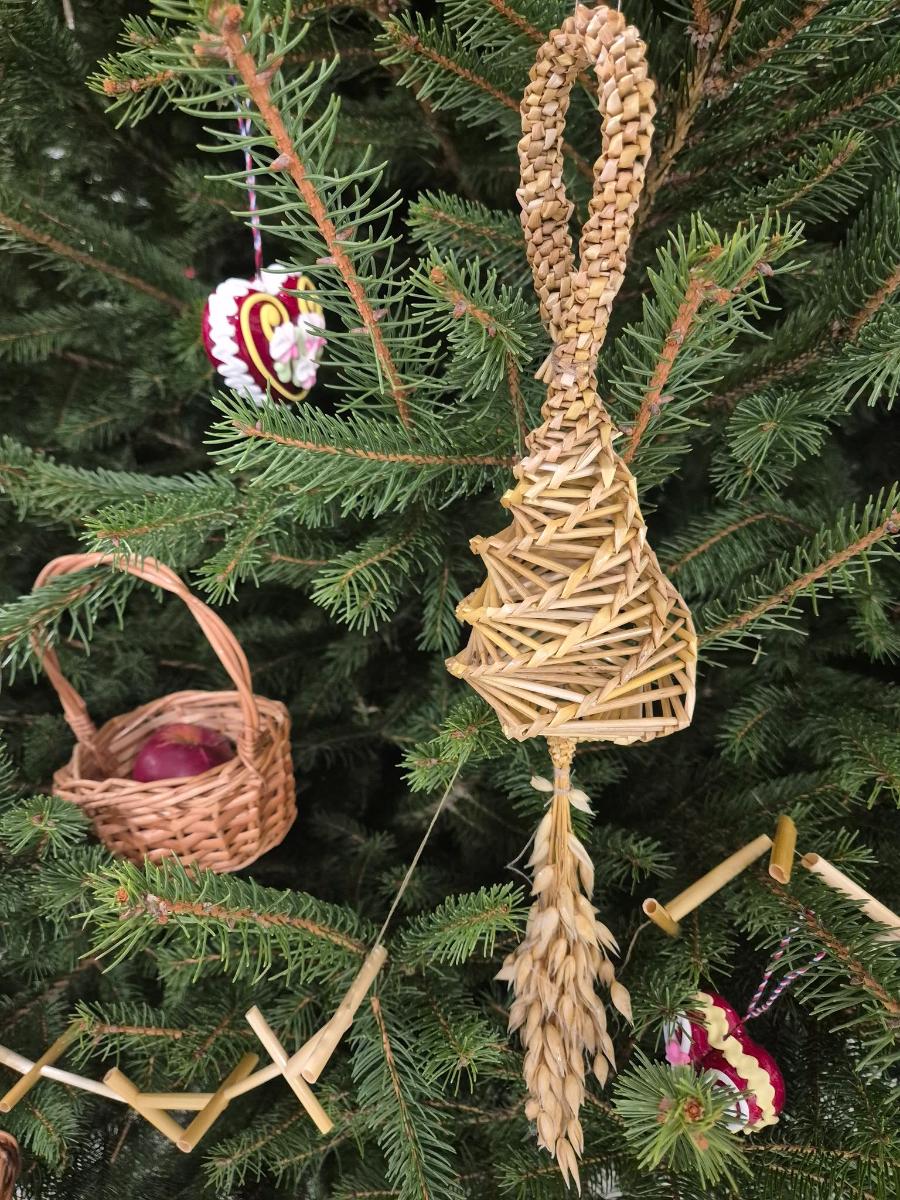 594962444 1159179323054758 4455799774226791481 n