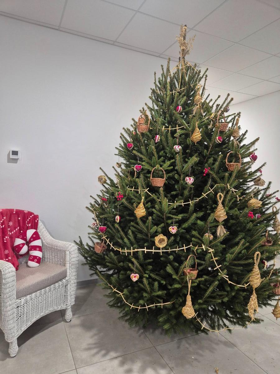 595074933 1159212689718088 7935541154395222349 n