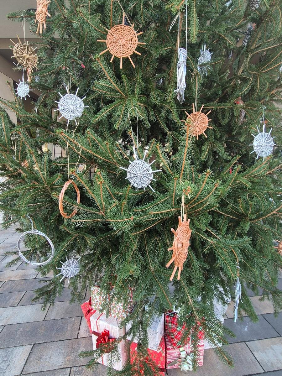 595212855 1159179429721414 2201989366441153775 n