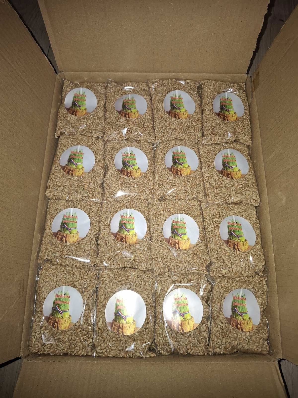 595307730 1297104359121961 667201349877589559 n