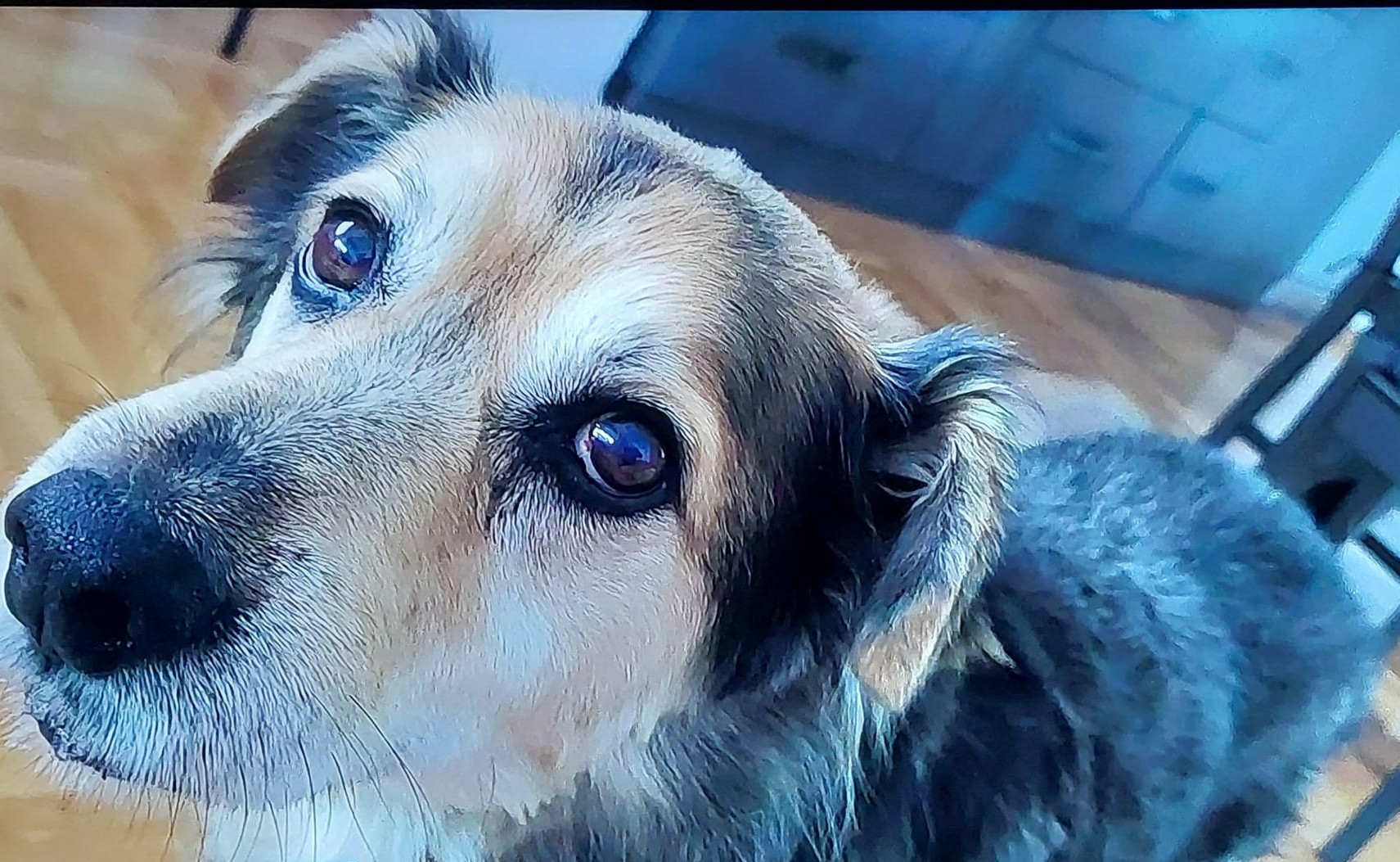 595828345 1153230520315530 4792245854361670544 n