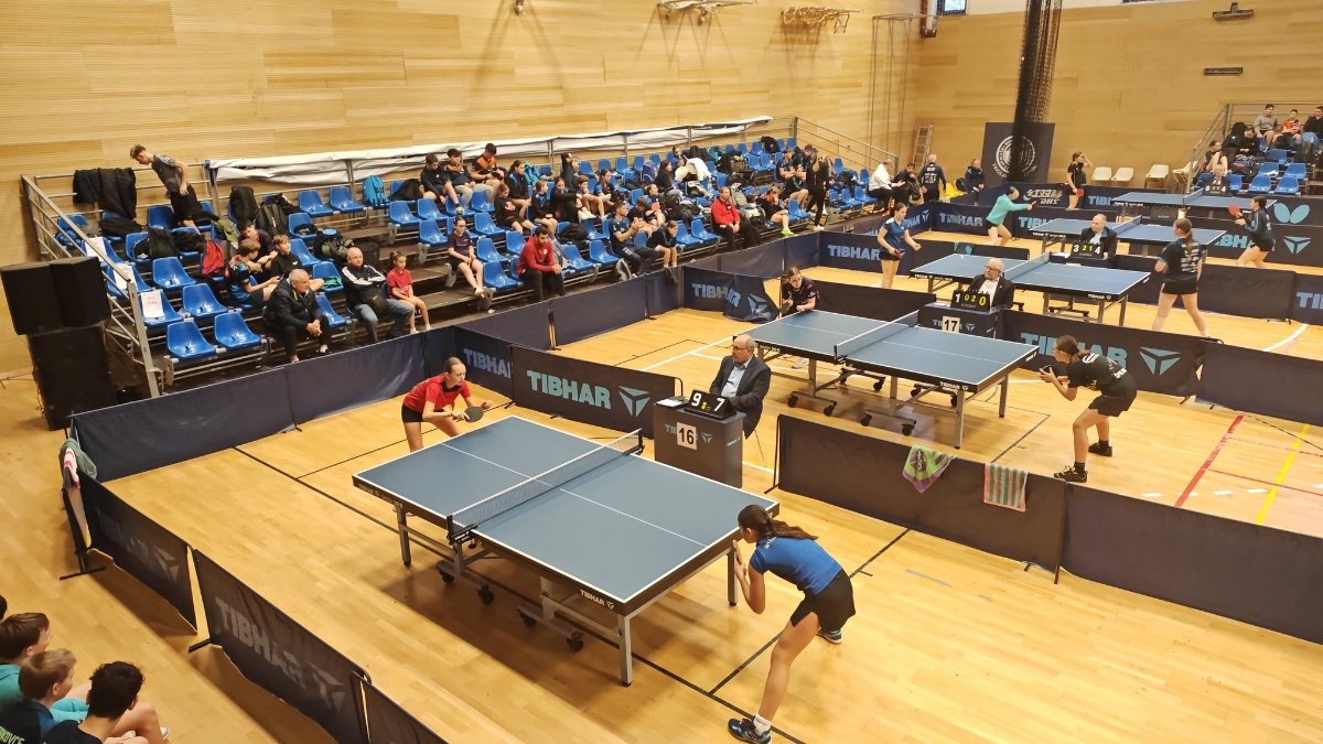 596048595 122188548974529744 7929768756870839972 n