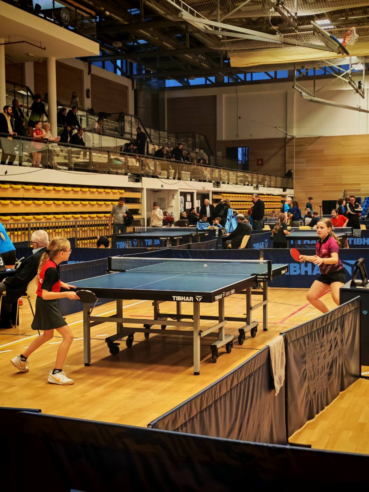 596205666 122188548932529744 2779827409977500981 n