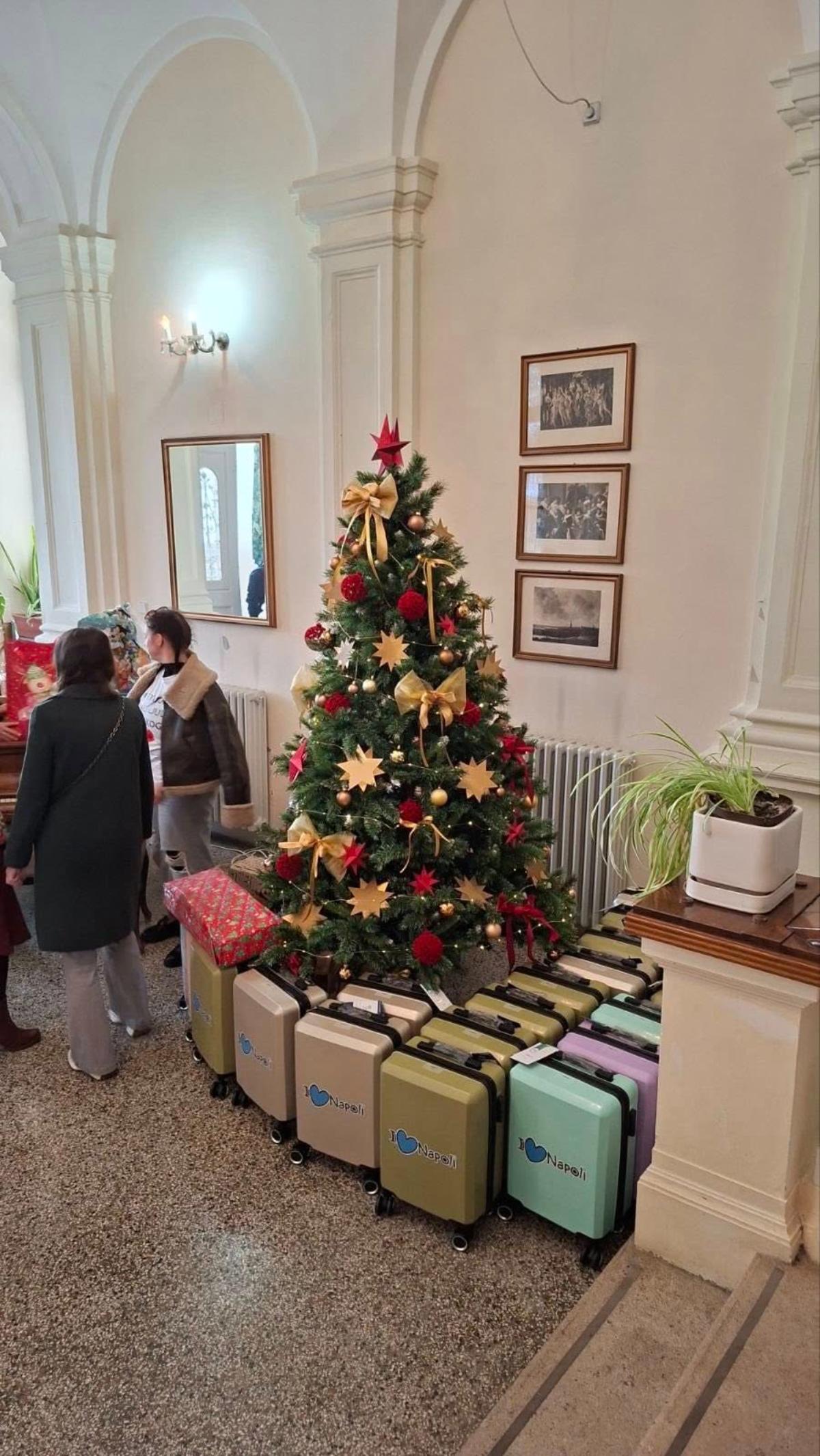 596490728 855321616866658 6207026313096542024 n