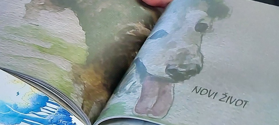 597323383 1153230523648863 7798900590192739606 n