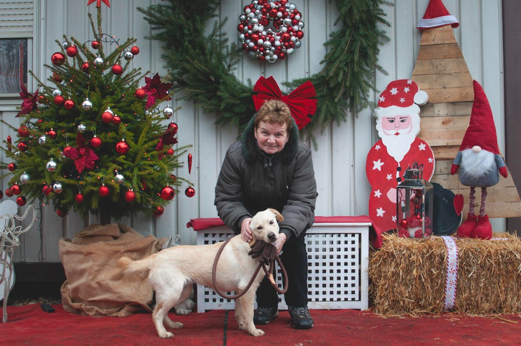 599924939 1162067856098463 9223061983014827055 n