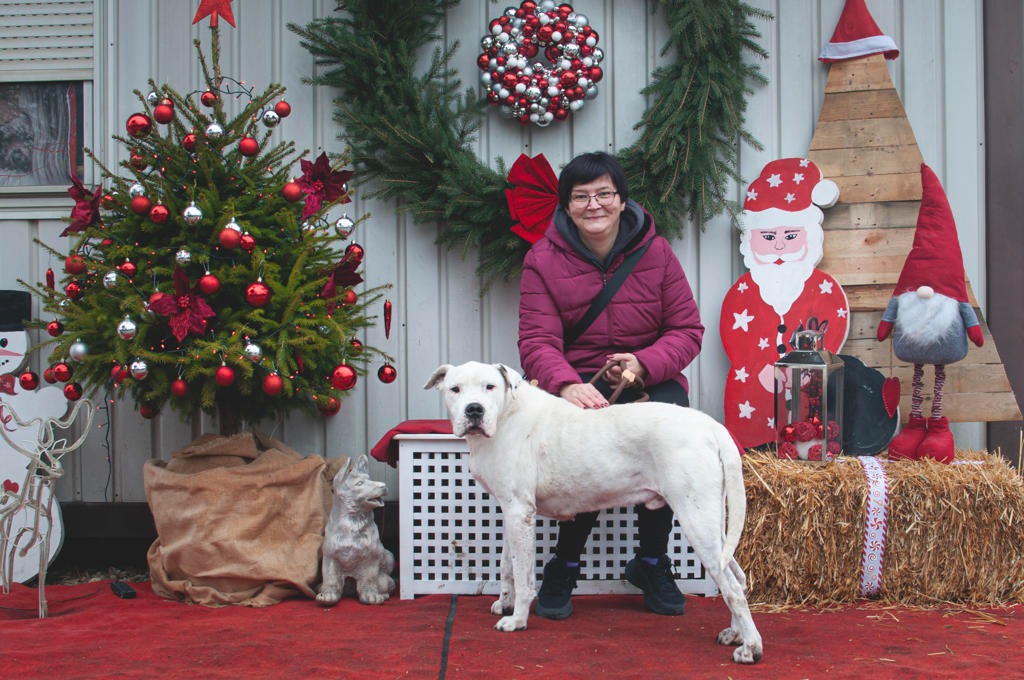 599949345 1162068066098442 5656474981484272868 n