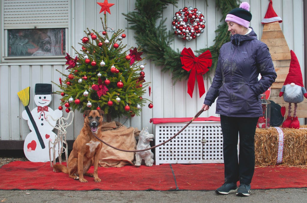 599951693 1162068209431761 864311947871786684 n