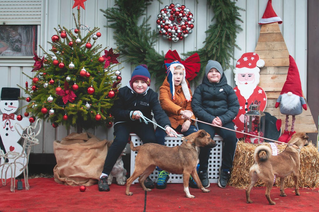 599961580 1162068399431742 5306532336269159065 n