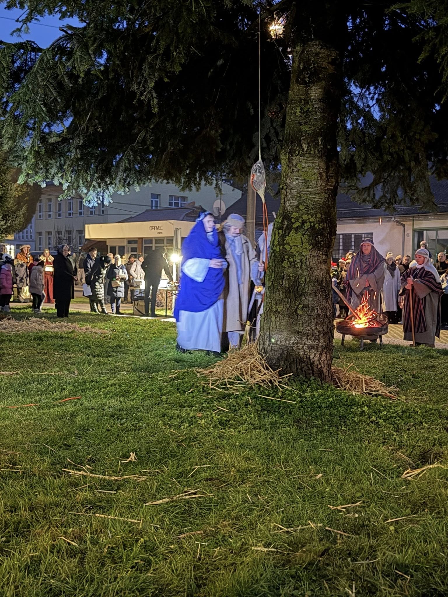 600335471 1180807847473818 5033058593306249027 n