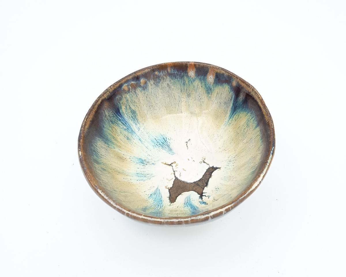 600537866 1461321032665814 2002709948642558209 n